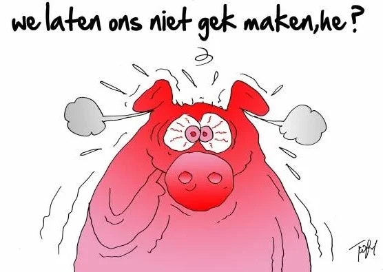 UWV traject en beslissingen